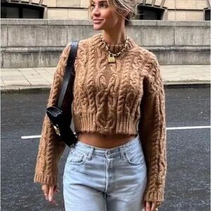 Zara Warm Brown Knit Sweater